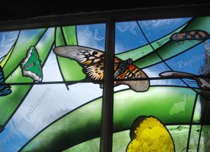 01a - African Nat Hist Res Trust - detail1