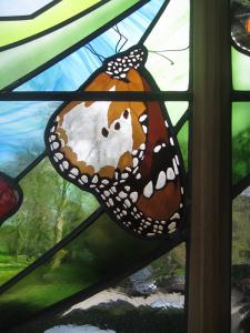 01b - African Nat Hist Res Trust - detail2